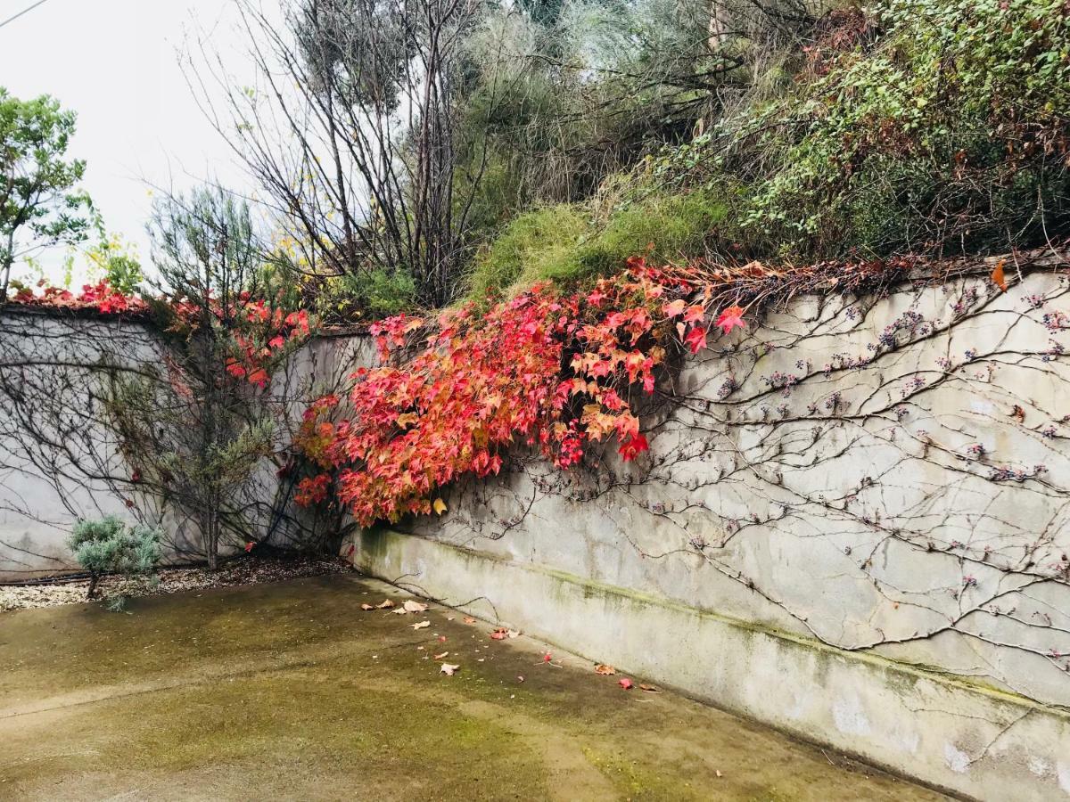 Puerta De Sobrarbe - Torreciudad Villa El Grado Kültér fotó